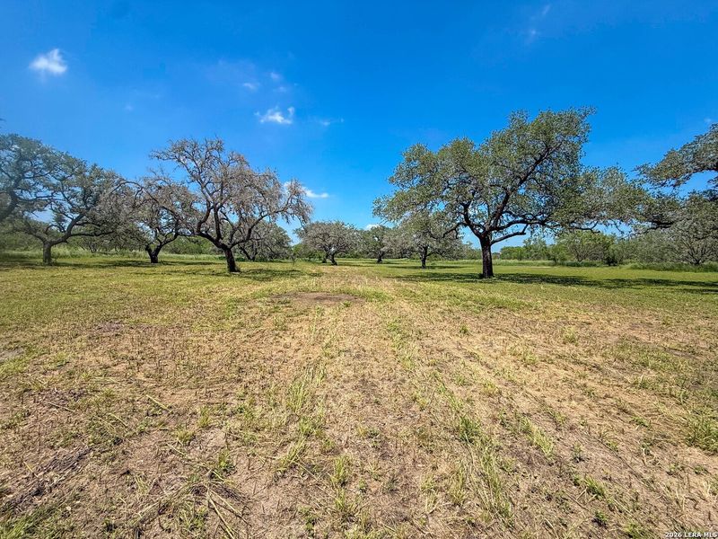 Natural landscape and outdoor views near in Kenedy (Image 17). Natural landscape and outdoor views near in Kenedy (Image 17).
