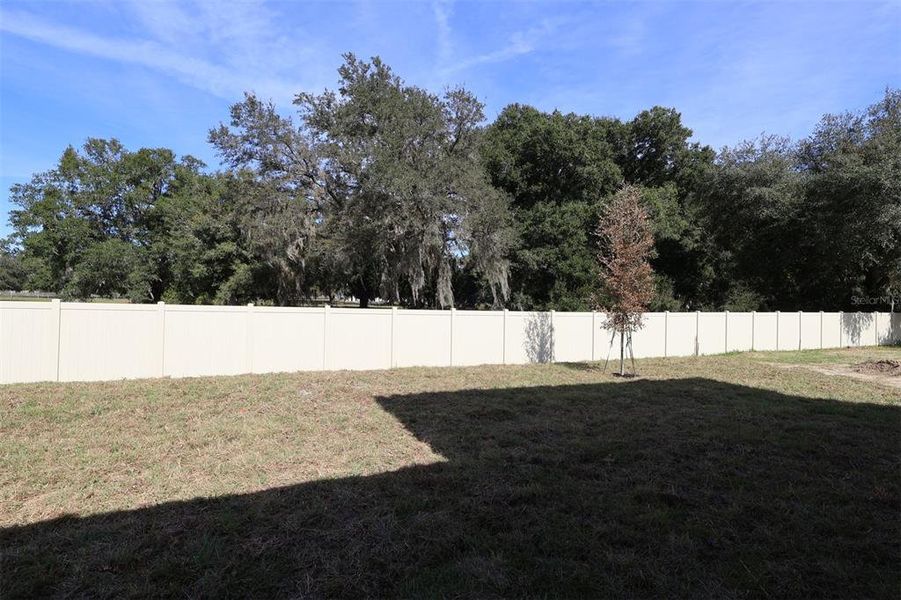 Exterior details and patio area of a home in Willow Run, Apopka (Image 21). Exterior details and patio area of a home in Willow Run, Apopka (Image 21).