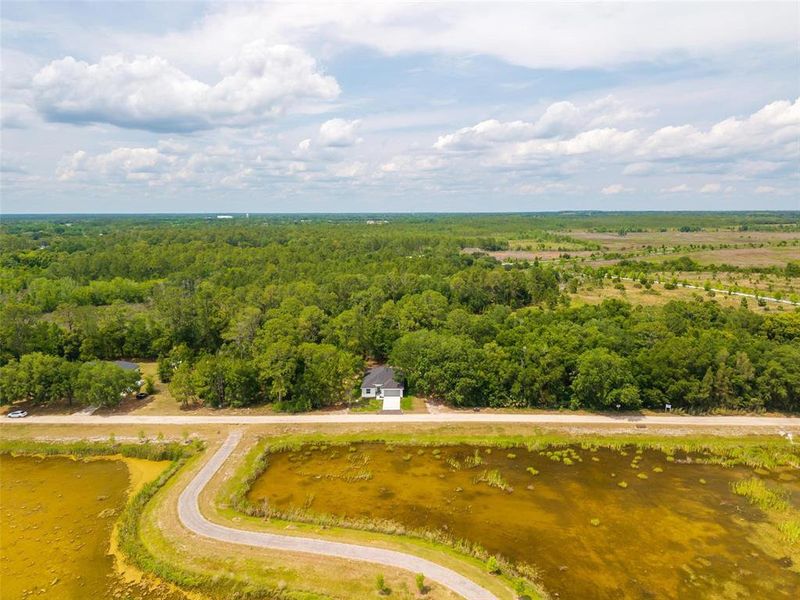 Natural landscape and outdoor views near  in Eustis (Image 57).