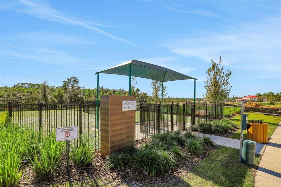 Community amenities in Serenade at Ovation, Winter Garden (Image 11).