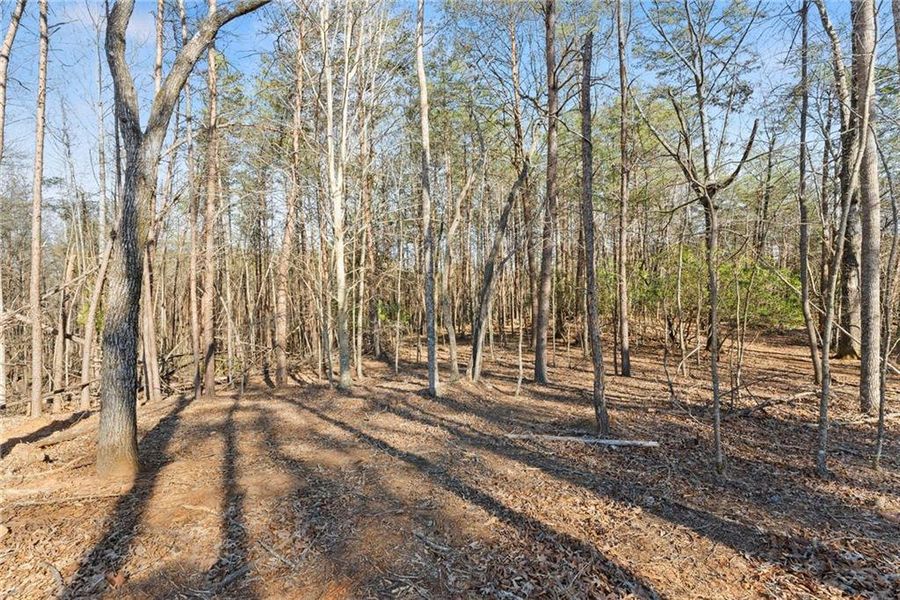 Natural landscape and outdoor views near in Sautee Nacoochee (Image 48). Natural landscape and outdoor views near in Sautee Nacoochee (Image 48).