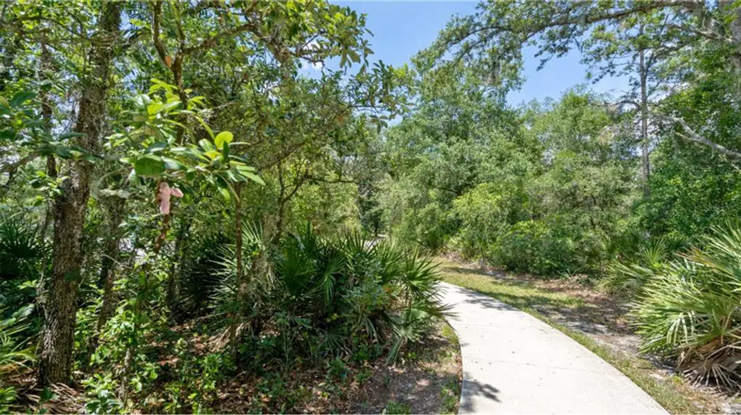 Natural landscape and outdoor views near EverBe in Orlando (Image 14). Natural landscape and outdoor views near EverBe in Orlando (Image 14).