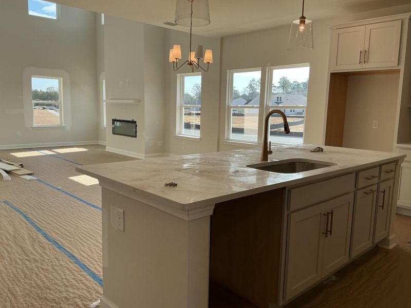 In-progress construction of a new home in Tea Farm, Ravenel, SC (Image 23).