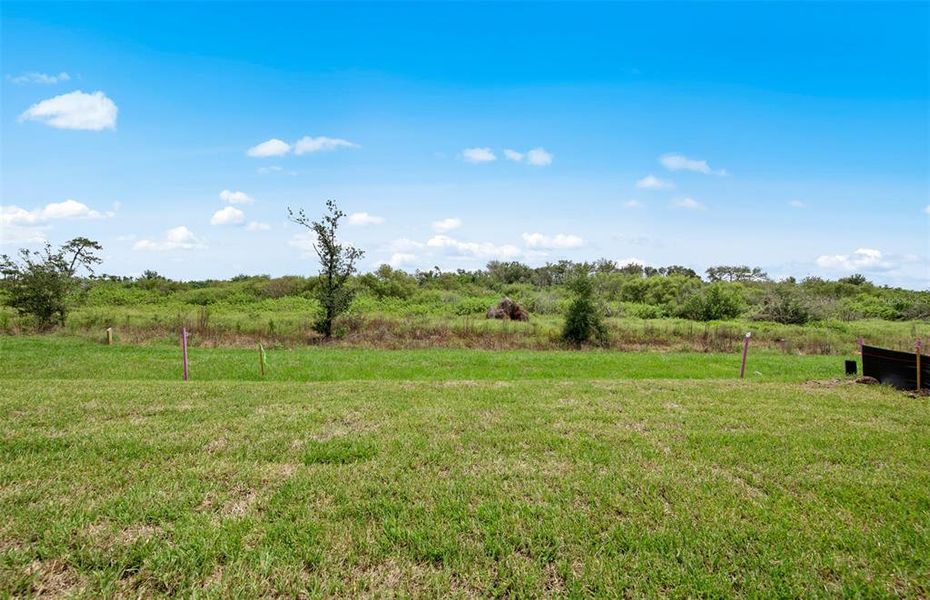 Natural landscape and outdoor views near Del Webb Catalina in Lakewood Ranch (Image 22). Natural landscape and outdoor views near Del Webb Catalina in Lakewood Ranch (Image 22).