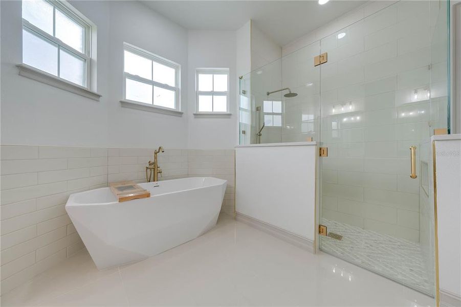 Primary Bathroom tub and shower