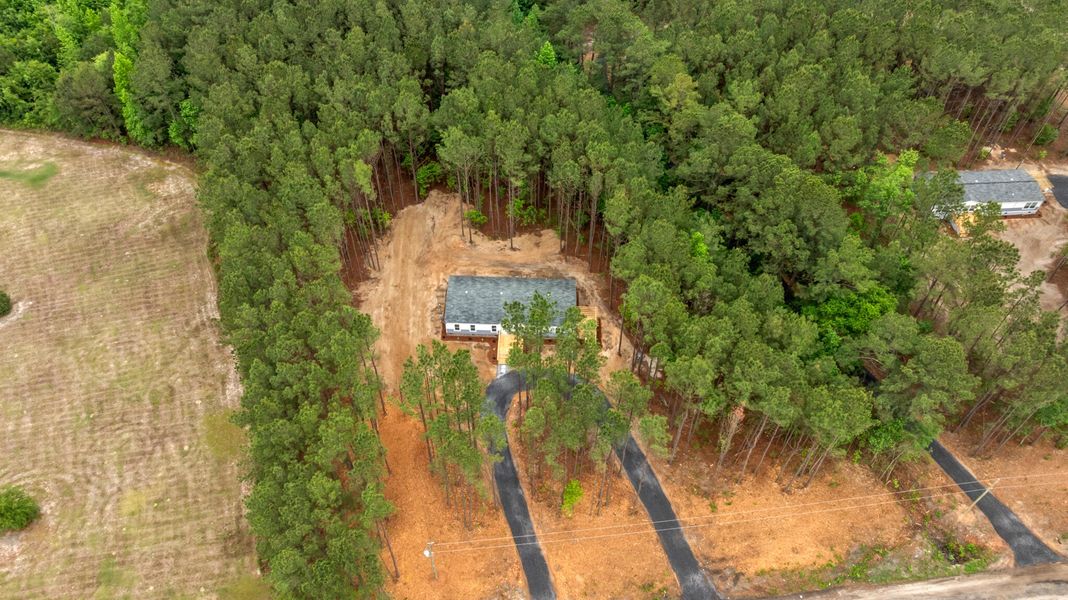 Site preparation for new homesites in , Eutawville (Image 25).