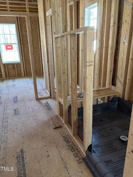 Main bath-closet