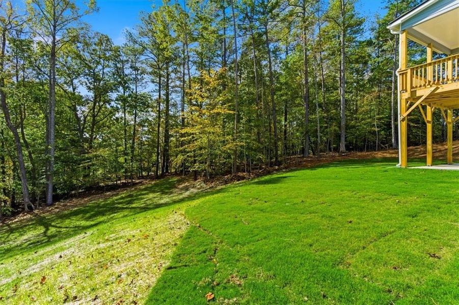 Exterior details and patio area of a home in The Estates at Hurricane Pointe, Douglasville (Image 3). Exterior details and patio area of a home in The Estates at Hurricane Pointe, Douglasville (Image 3).
