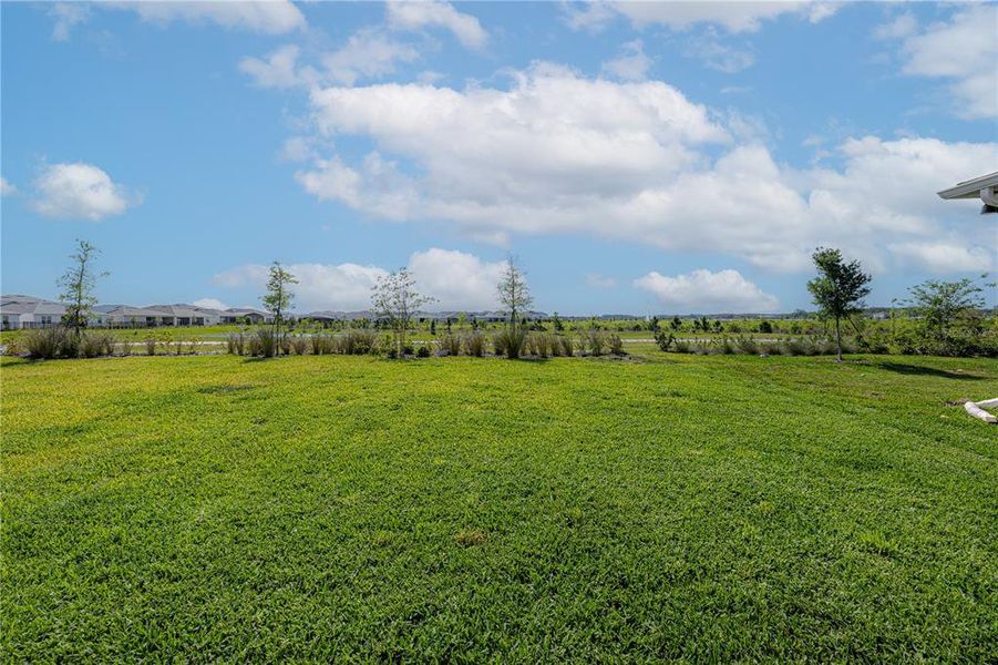 Natural landscape and outdoor views near EverBe in Orlando (Image 47).