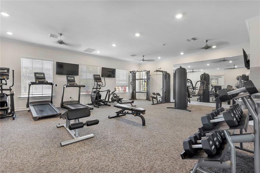 Community amenities in Palmetto Landing at Babcock Ranch - Tradition, Punta Gorda (Image 42).
