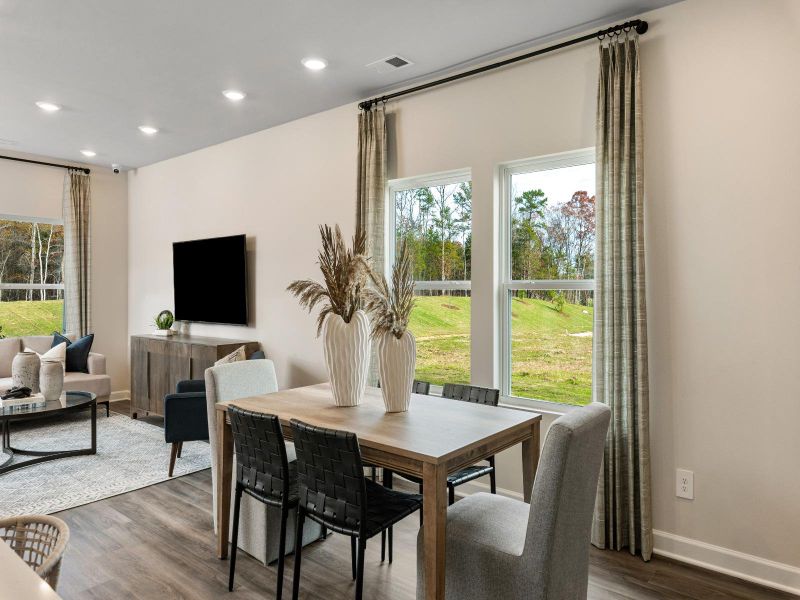Furnished interior view inside a new home in Meadows at Wilson Farms - The Summit Series, Fort Mill (Image 4).