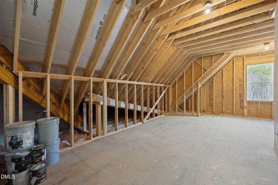 66-web-or-mls-IMG_9514