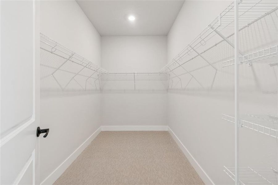 Spacious, unfurnished interior of a new home in Gracewater at Sarasota, Sarasota (Image 15).