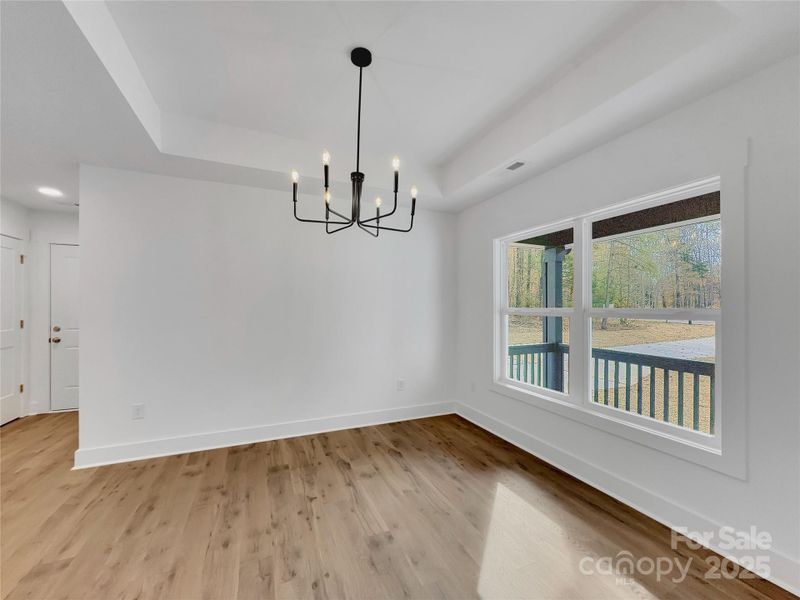 Tray ceiling in dining room
