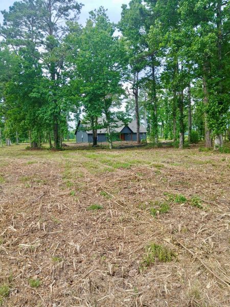Back yard