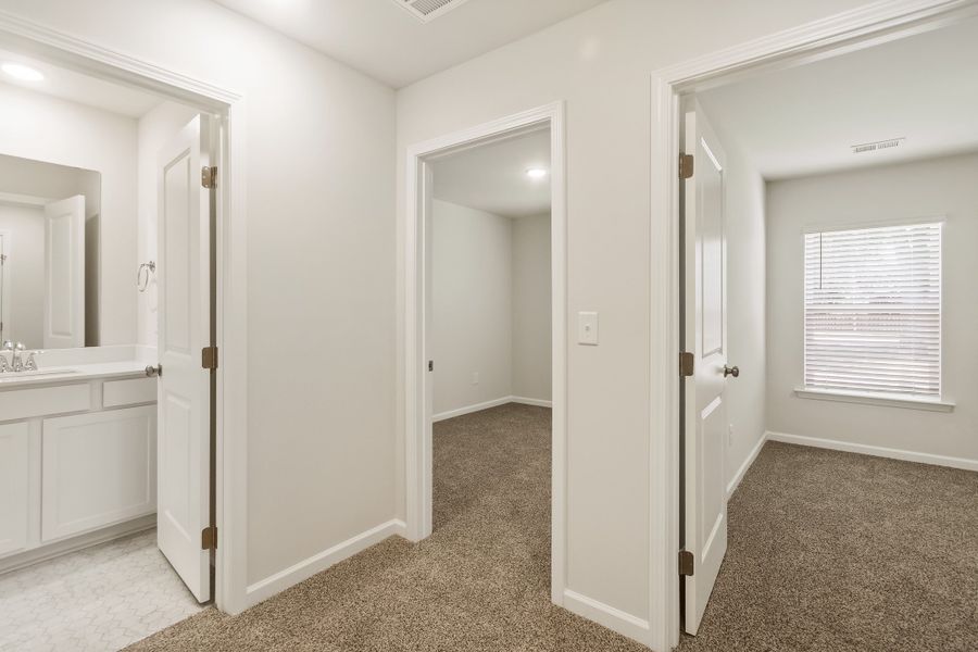 Image 14 representing the Ashford by Veranda Homes in The Falls, Blythewood, SC.