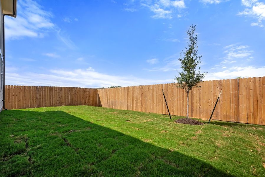 040_dsc03249_1_584 040_dsc03249_1_584