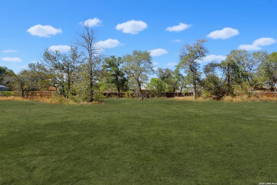 Natural landscape and outdoor views near  in Poteet (Image 31).
