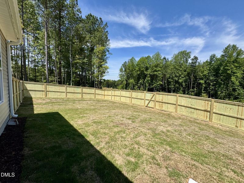 BR37fence2