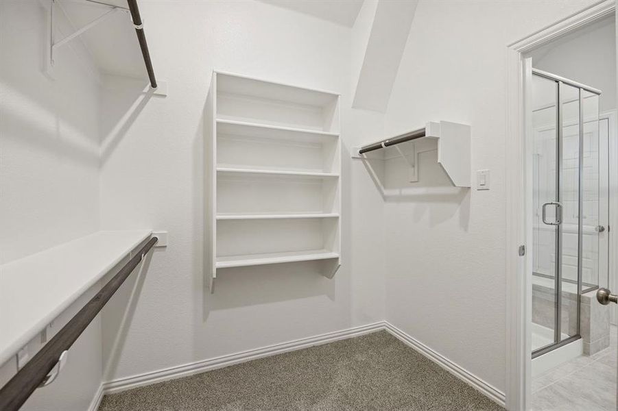 2205 Hazel Lily 2205 Hazel Lily