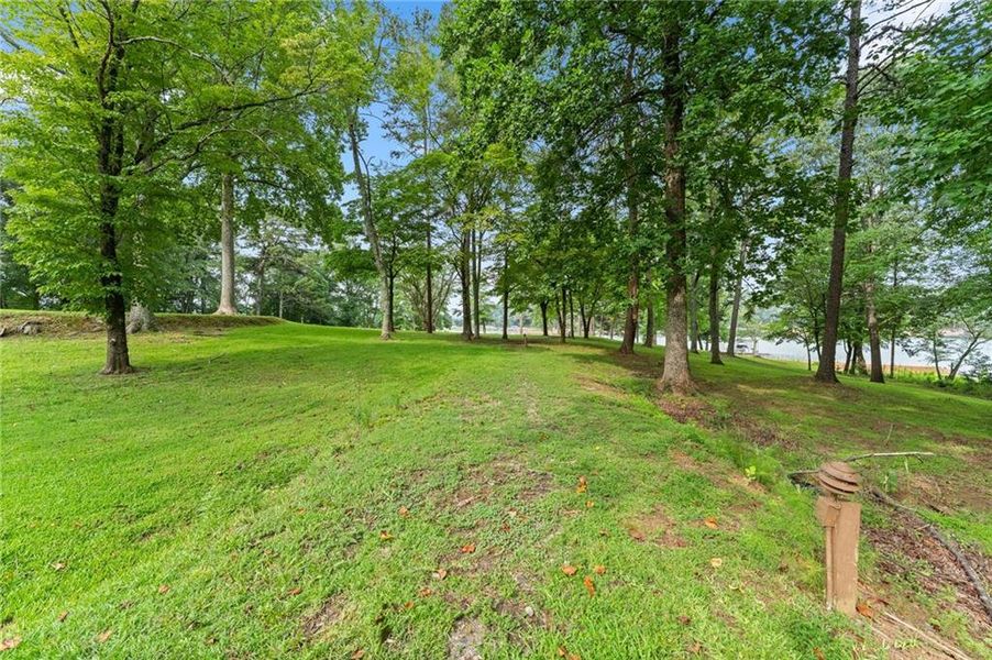 Natural landscape and outdoor views near  in Dawsonville (Image 87).