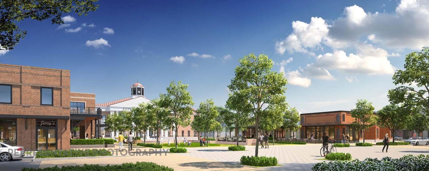 Image 36 of a home in Riceland: 65ft. lots.