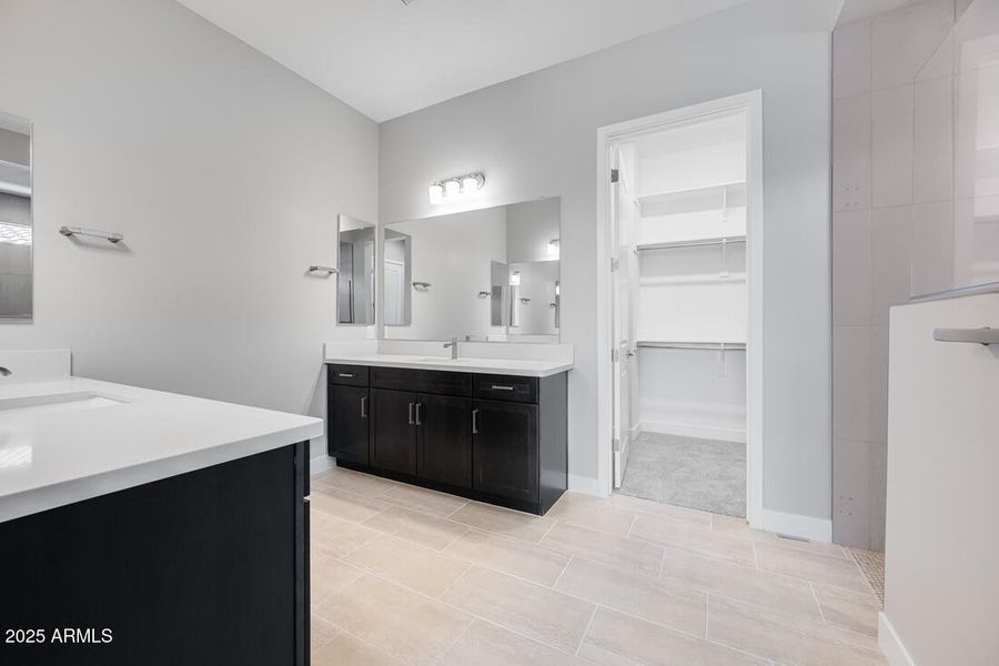 hj-az-phoenix-cantamia-portato-18147-w-t hj-az-phoenix-cantamia-portato-18147-w-t