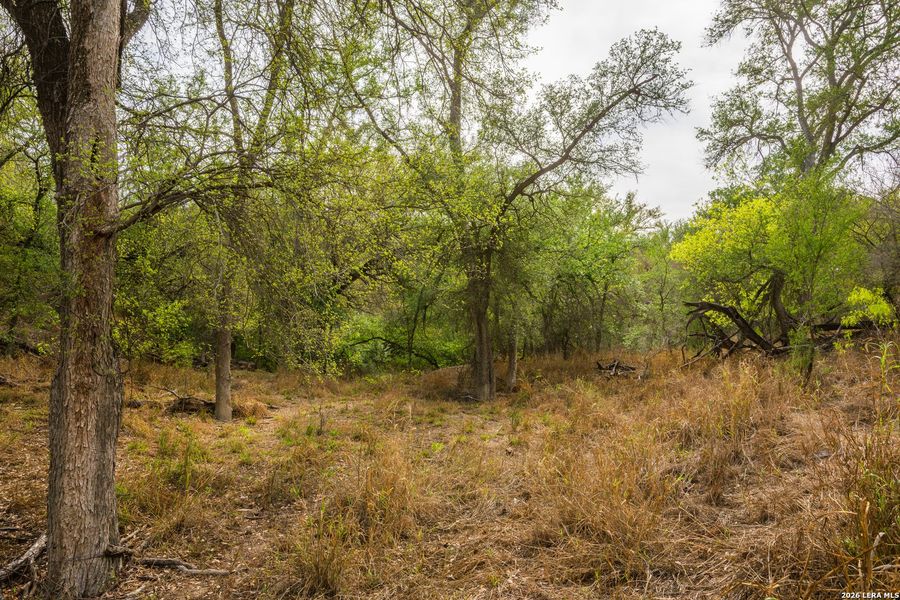 Natural landscape and outdoor views near in Crystal City (Image 34). Natural landscape and outdoor views near in Crystal City (Image 34).