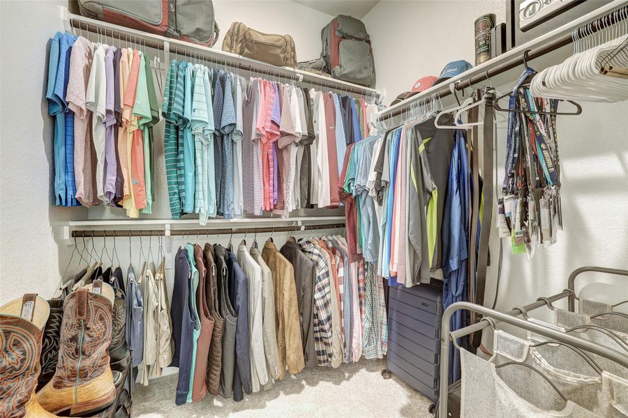 Spacious closet with carpet flooring