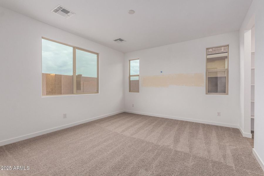 17 - Vogel 17 - Vogel