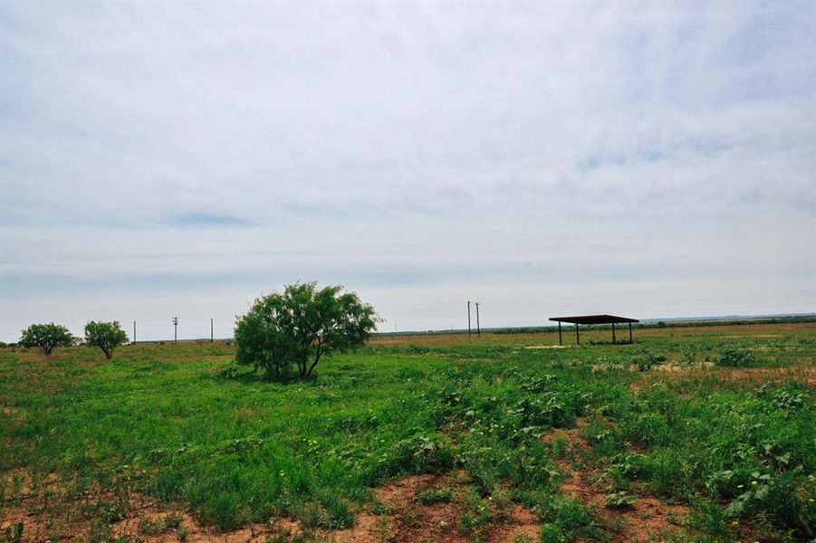 Natural landscape and outdoor views near  in Merkel (Image 6).