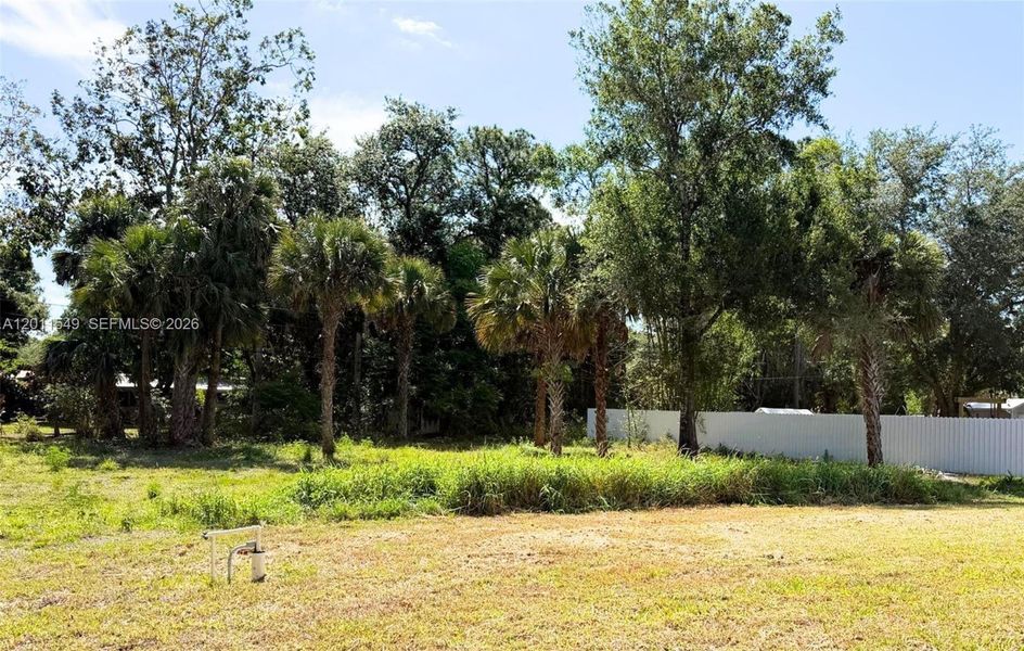 Natural landscape and outdoor views near in Lehigh Acres (Image 32). Natural landscape and outdoor views near in Lehigh Acres (Image 32).