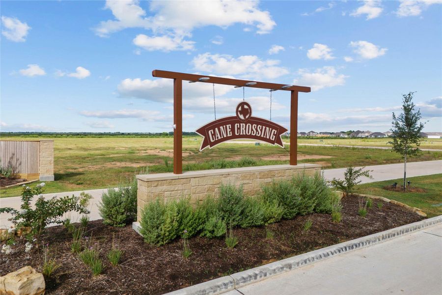 Welcome to Cane Crossing! Welcome to Cane Crossing!