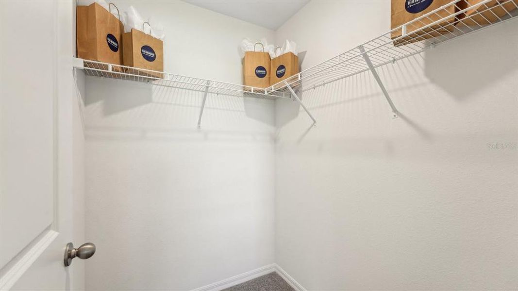 Spacious, unfurnished interior of a new home in Triumph South, Wildwood (Image 18).