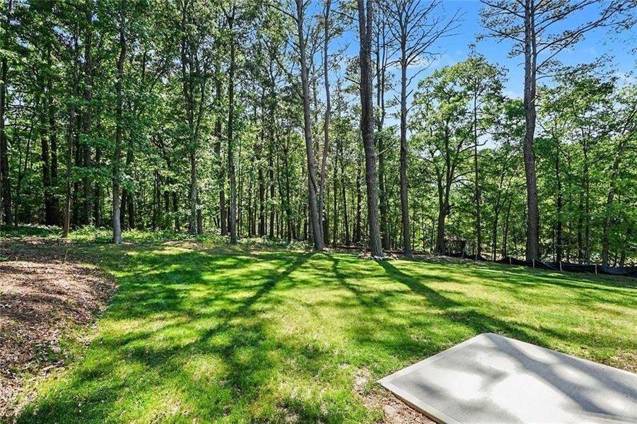 Natural landscape and outdoor views near  in Conyers (Image 37).