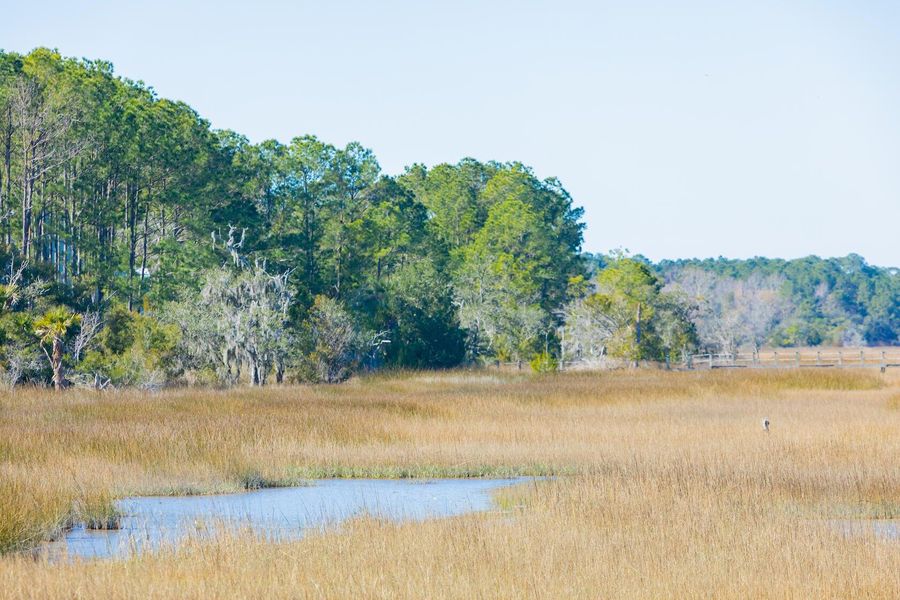 Natural landscape and outdoor views near  in Johns Island (Image 62).