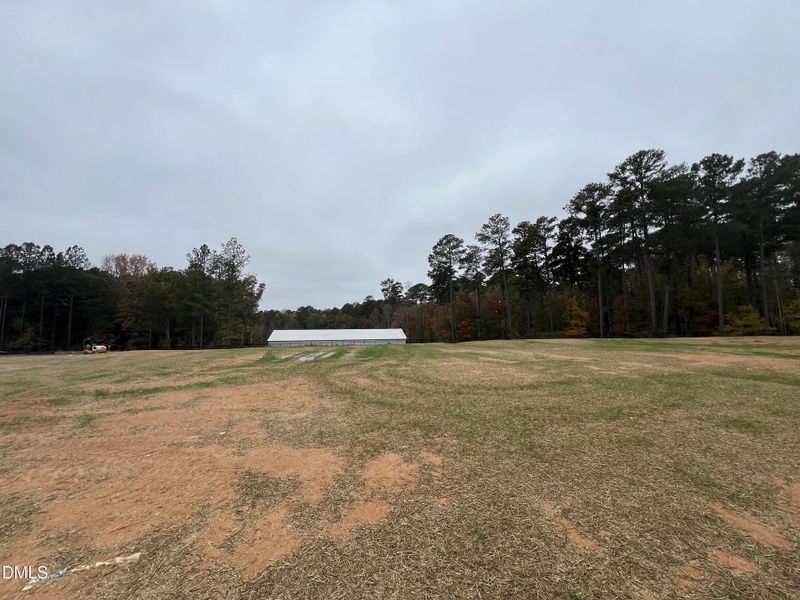Homesite 5