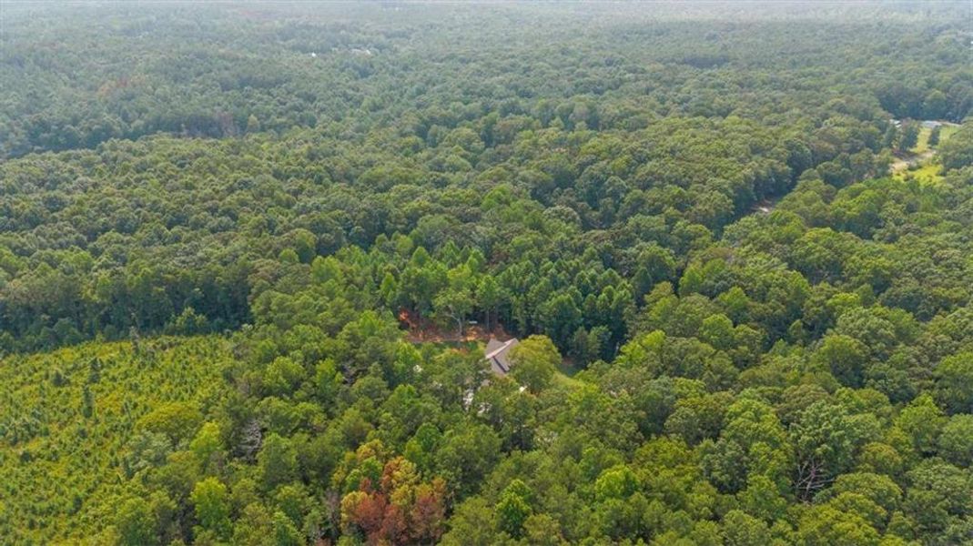 Natural landscape and outdoor views near  in Carrollton (Image 52).