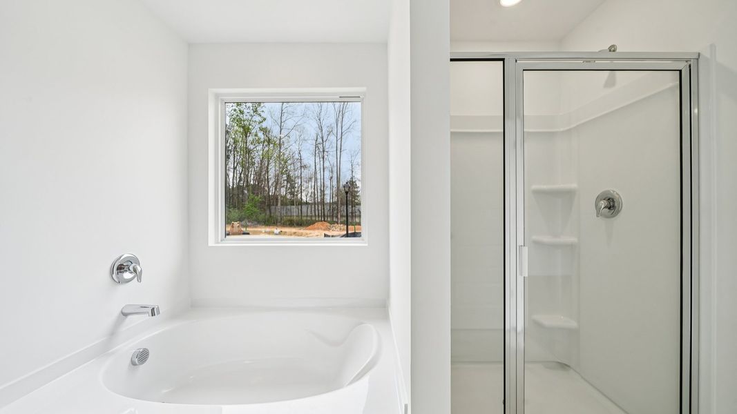 Representative interior finishes for a home built from the Ansley by D.R. Horton in Sherwood Manor, Atlanta (Image 10).