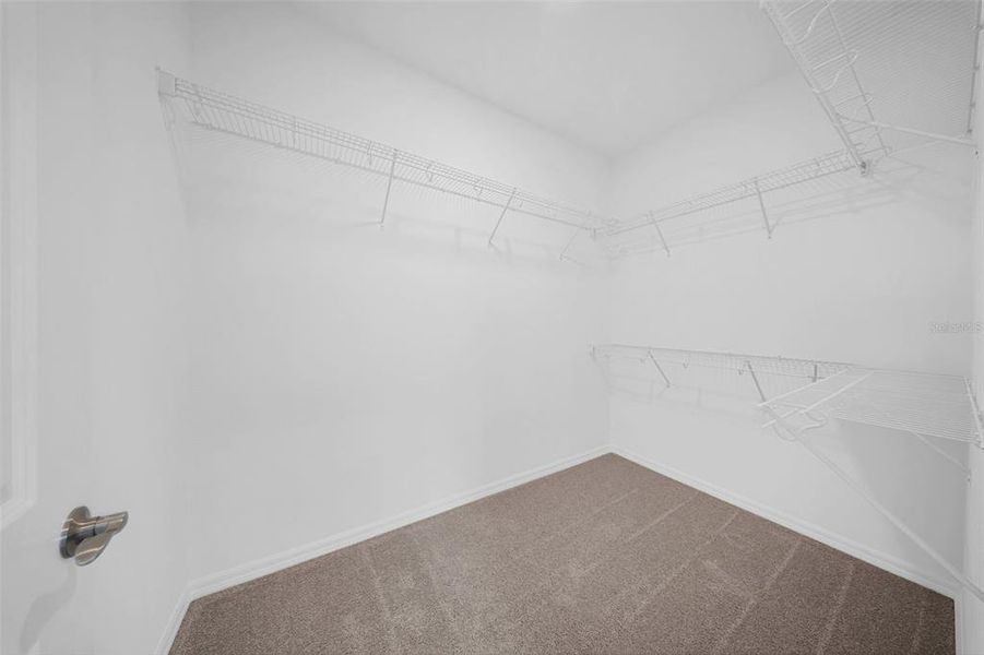 Spacious, unfurnished interior of a new home in , Wesley Chapel (Image 34).