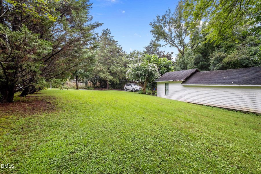 9-web-or-mls-P1078522