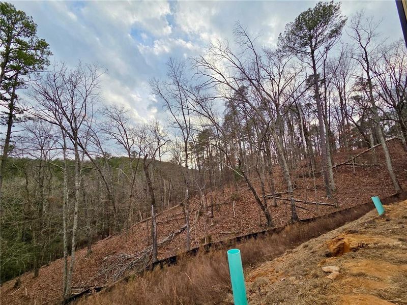 Site preparation for new homesites in , Waleska (Image 19).