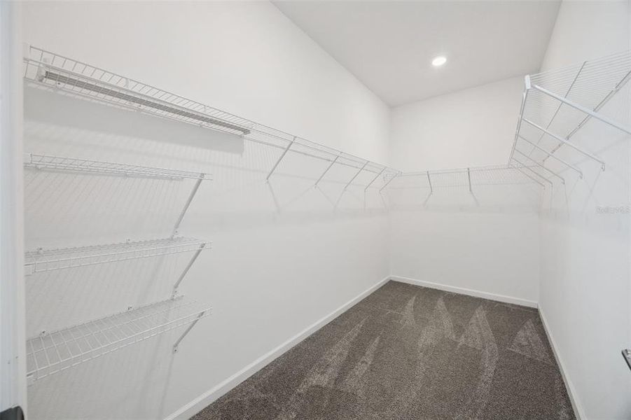 Spacious, unfurnished interior of a new home in Pine Glen: Chateau Collection, St. Cloud (Image 13).