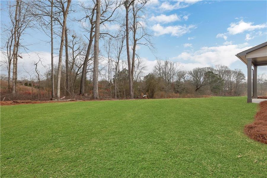 Exterior details and patio area of a home in Acacia, Cumming (Image 28).