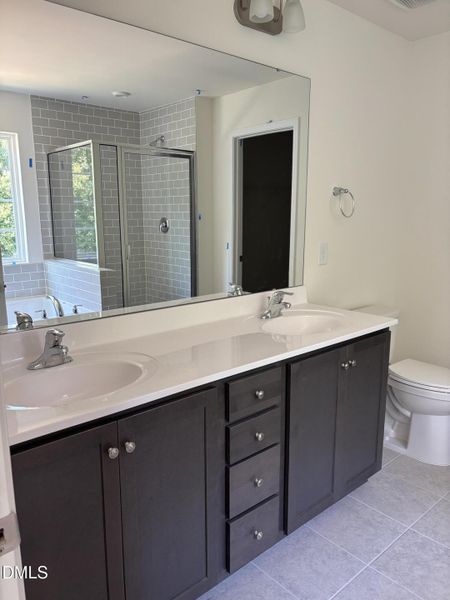 primary bath primary bath