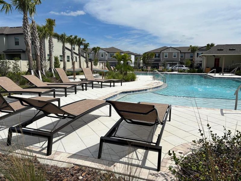 Community amenities in , New Port Richey (Image 5).