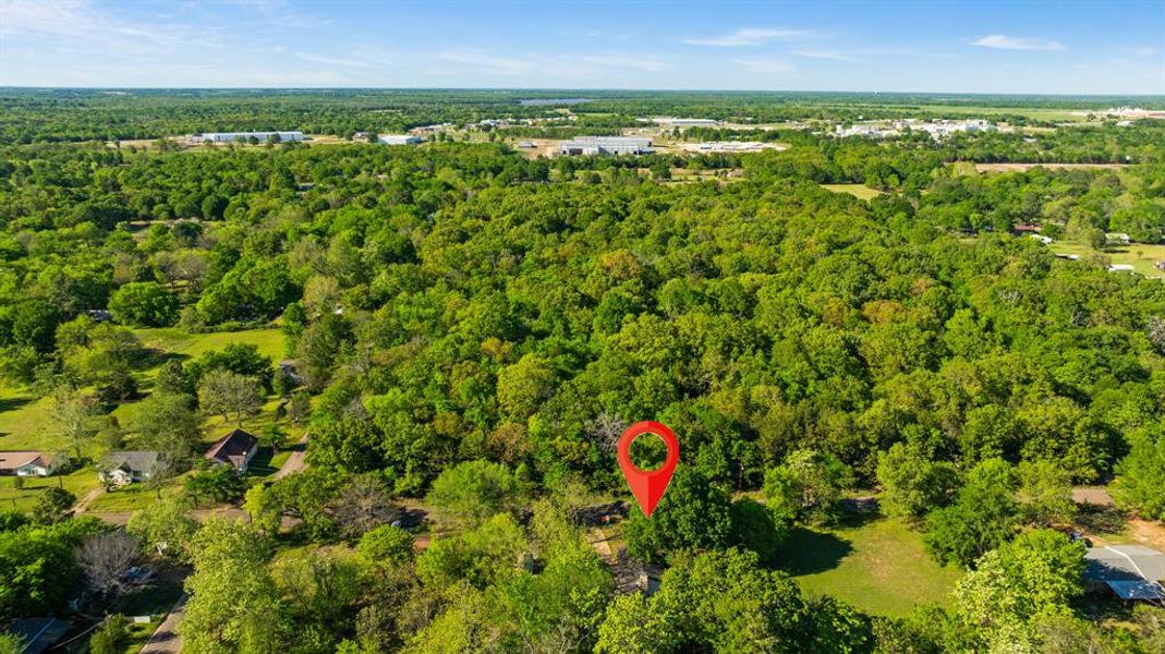 Natural landscape and outdoor views near  in Paris (Image 16).