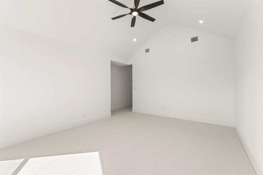 37. 3209 Canonero - Primary (2)