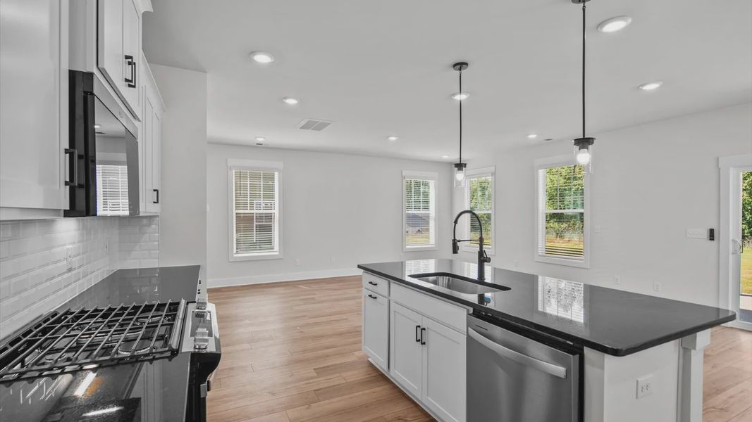 Furnished interior view inside a new home in Harrier Point, Woodruff (Image 8).