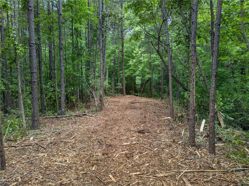 Natural landscape and outdoor views near  in Rockmart (Image 51).
